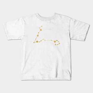 Pisces Zodiac Constellation in Gold Kids T-Shirt